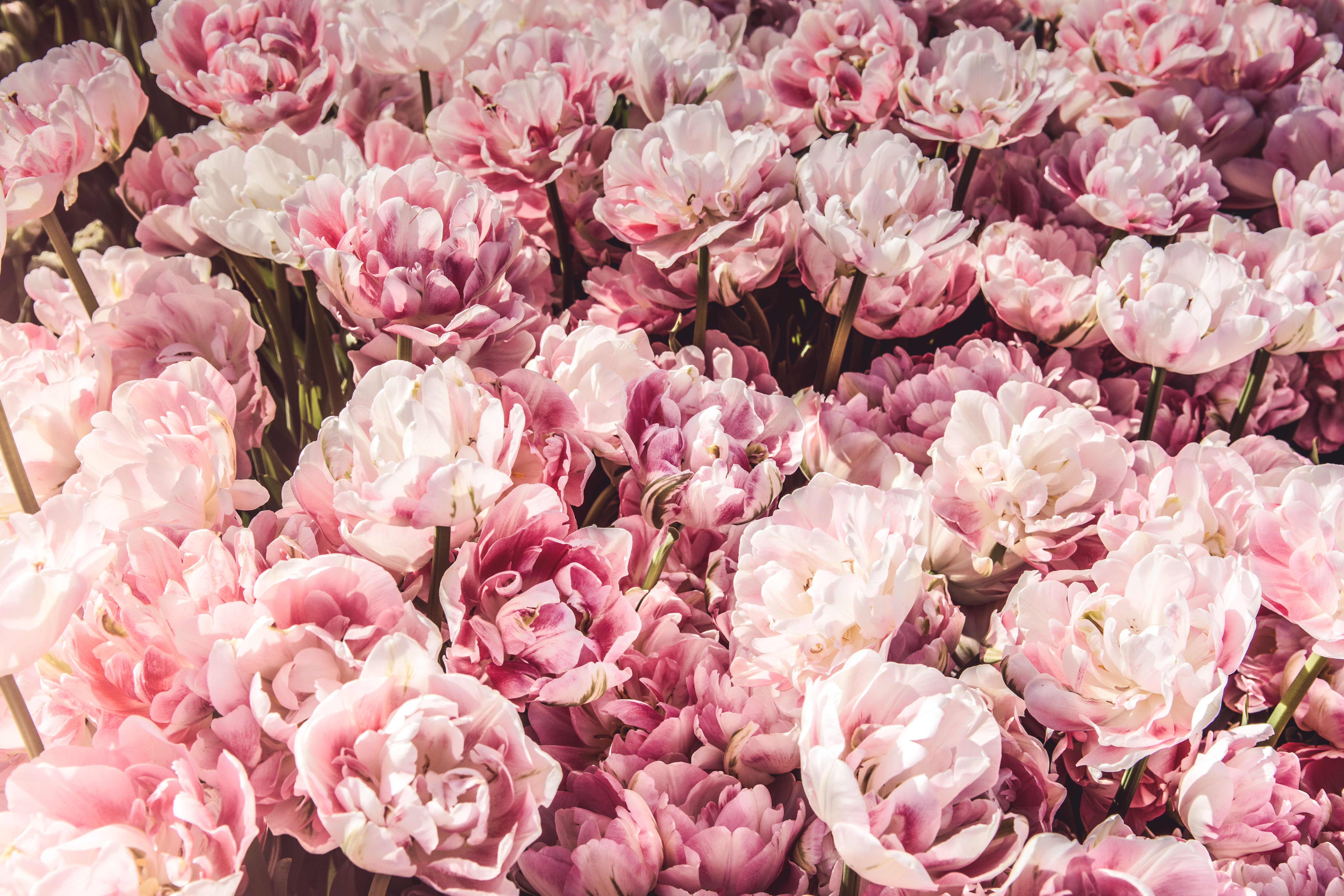thesimplyluxuriouslife.us | the simply luxurious life