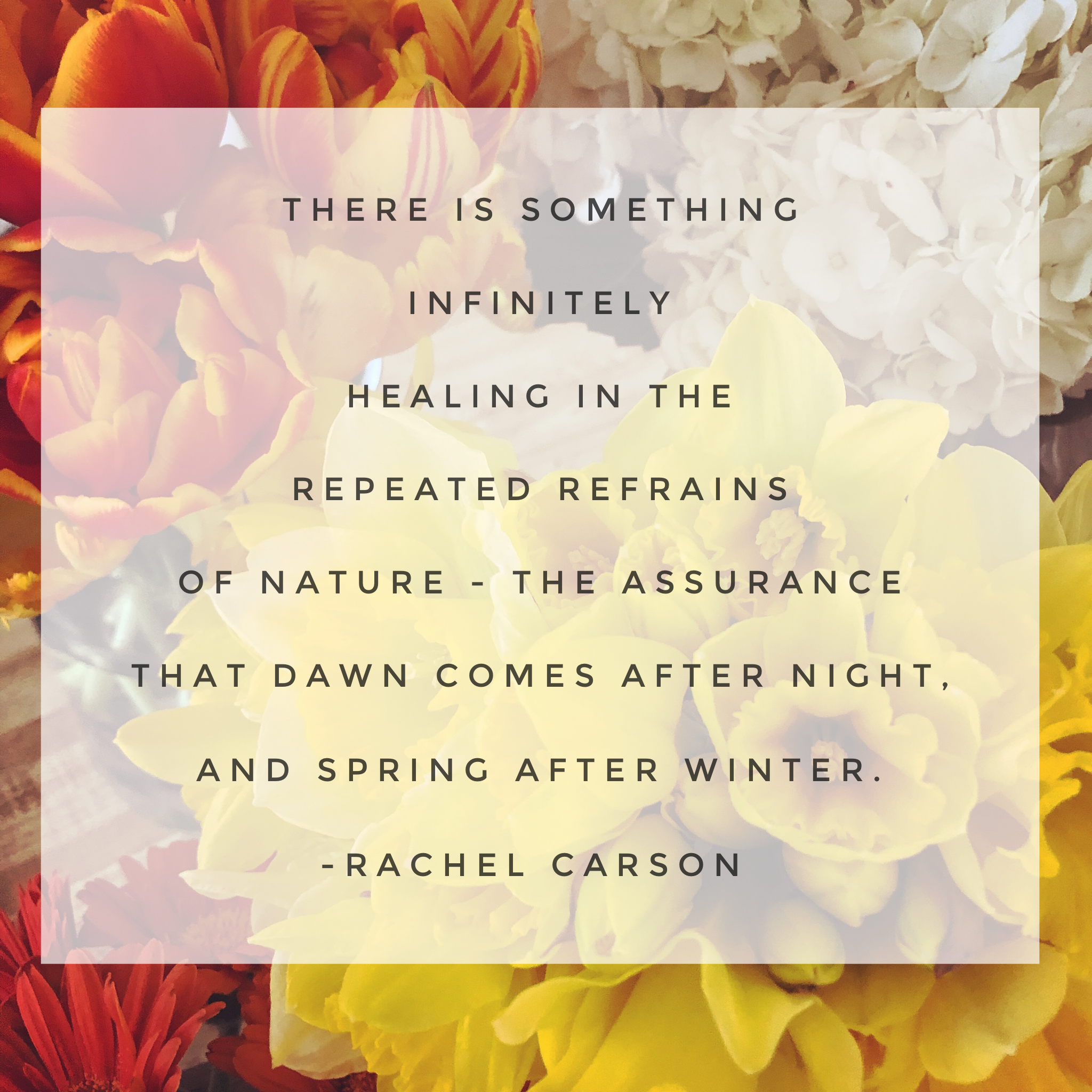 10 Ways to Welcome Spring: An Opportunity to Start Fresh