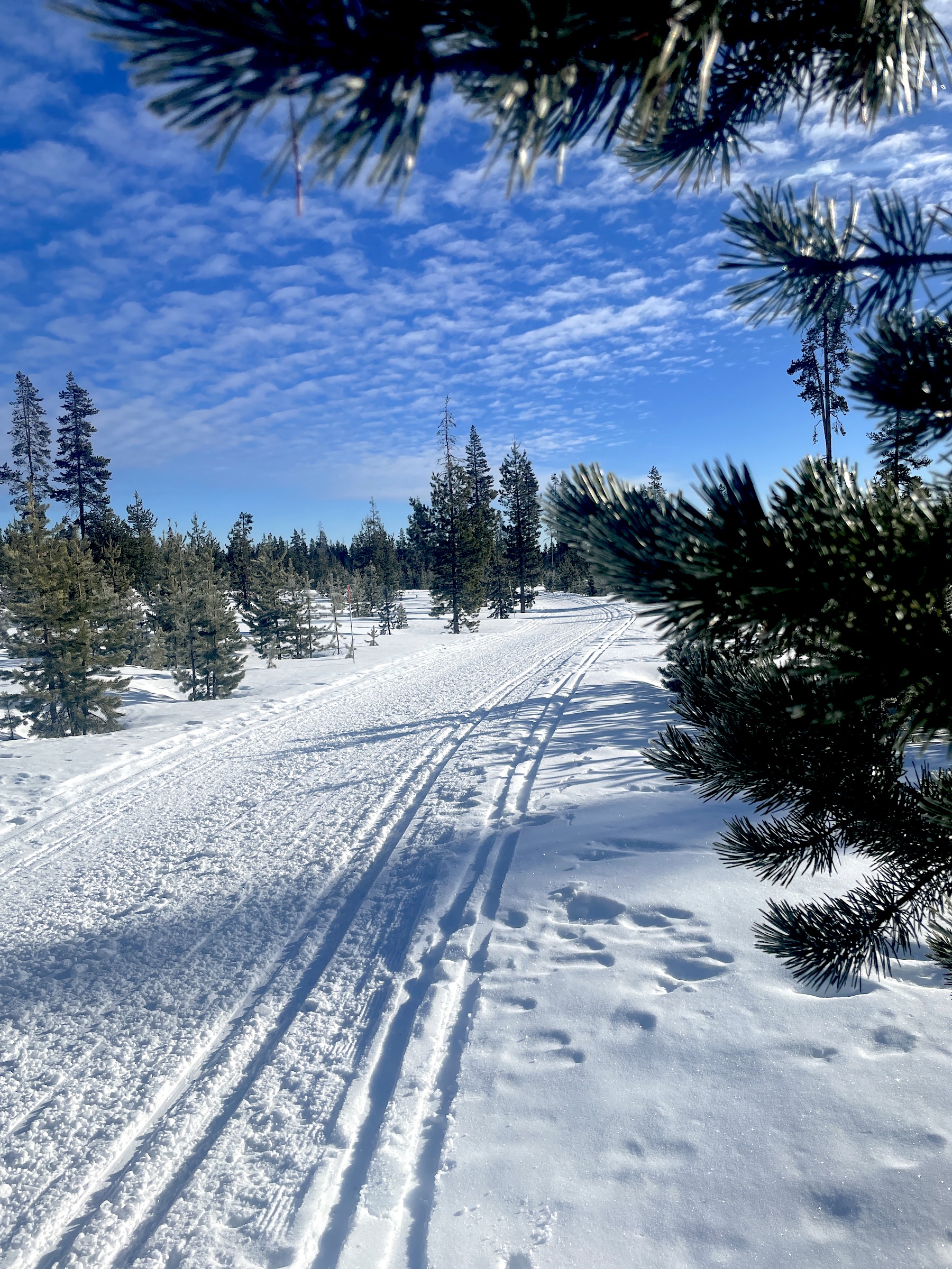 A Daily State of Calm: A Necessity to Living Well