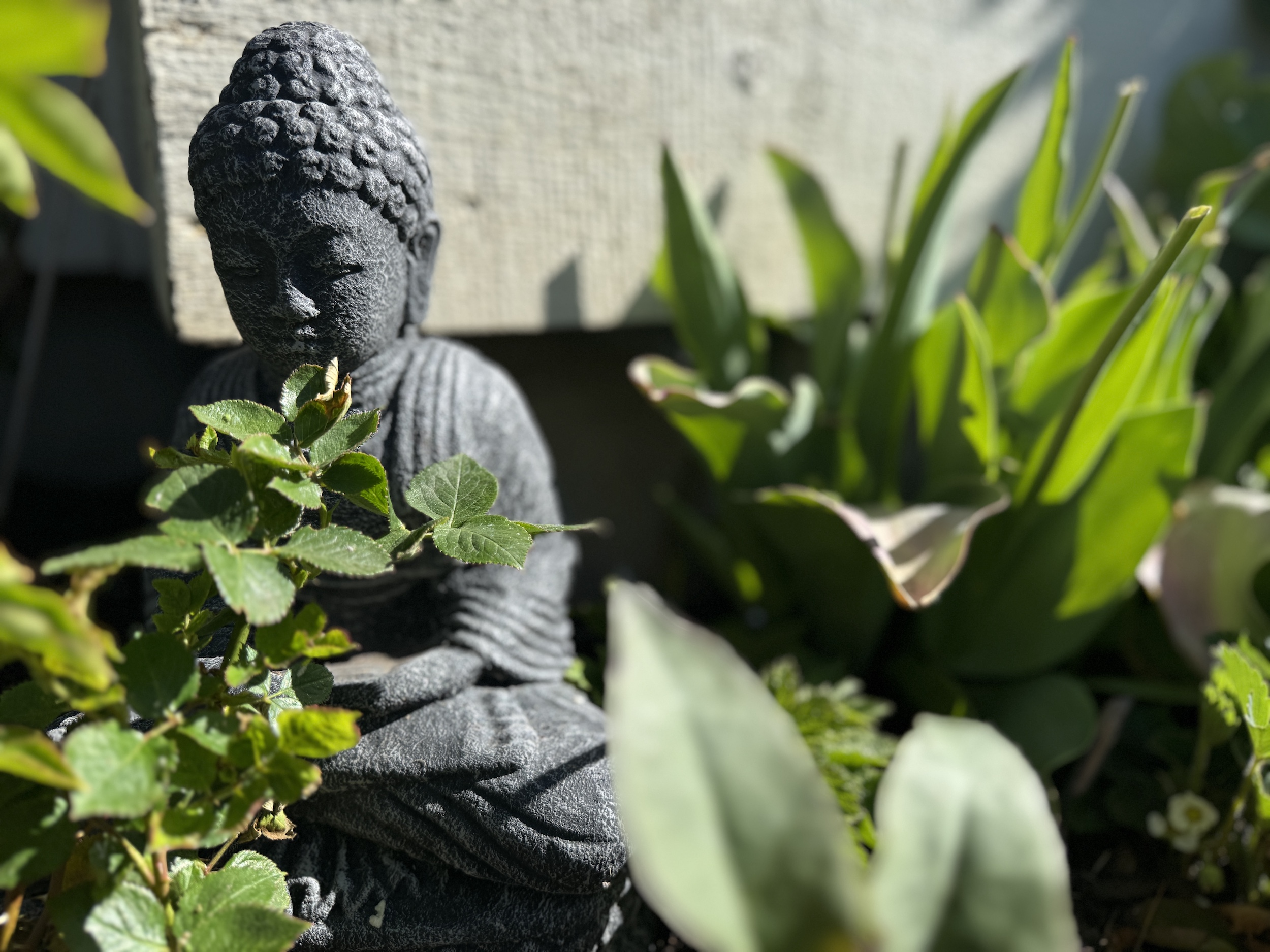 403: 10 Ways Integrating Buddhist Psychology into Your Everyday Life Cultivates Contentment