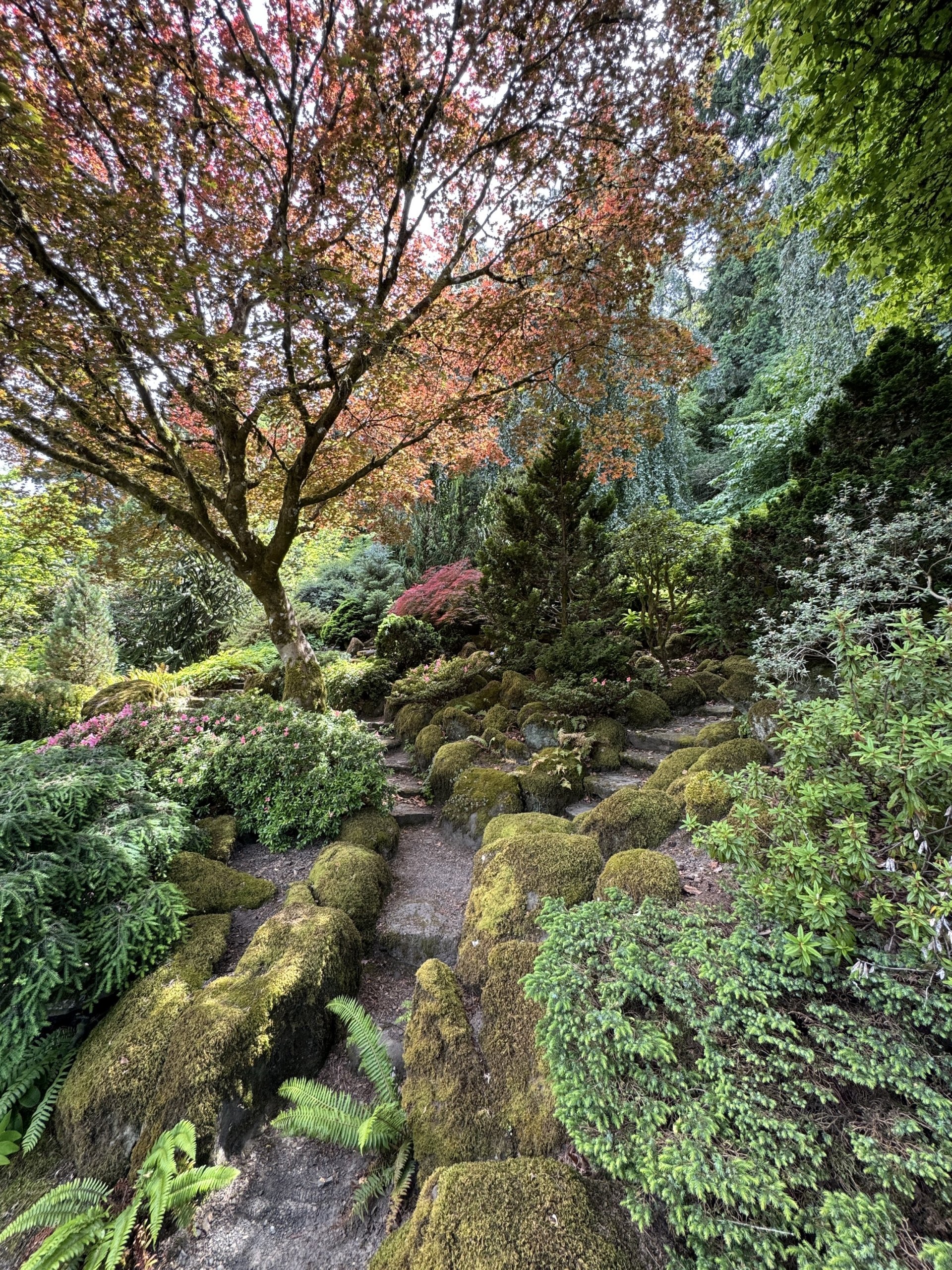 June in the Garden at Le Papillon + Visiting Elk Rock Garden, 2025
