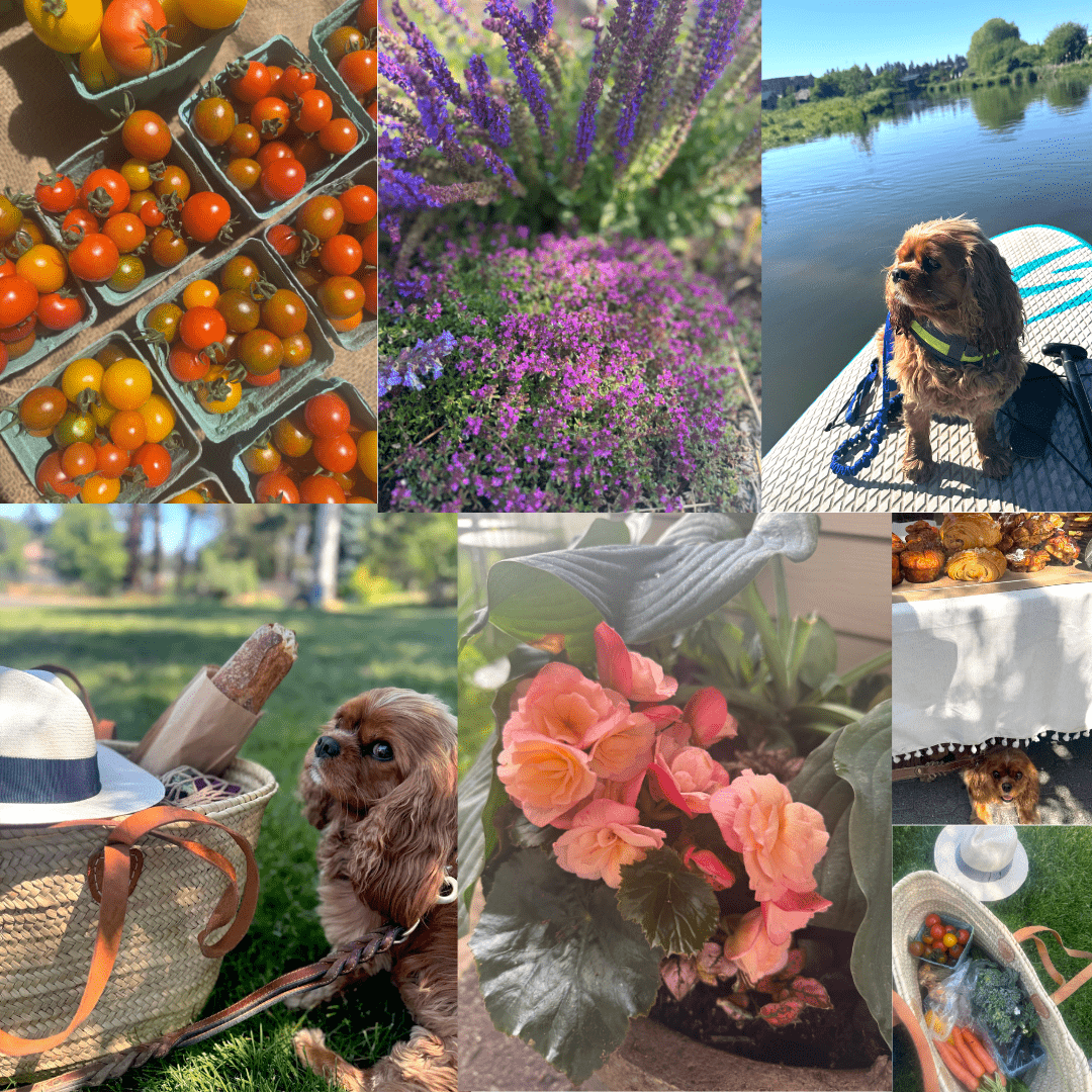 June2025igcollage
