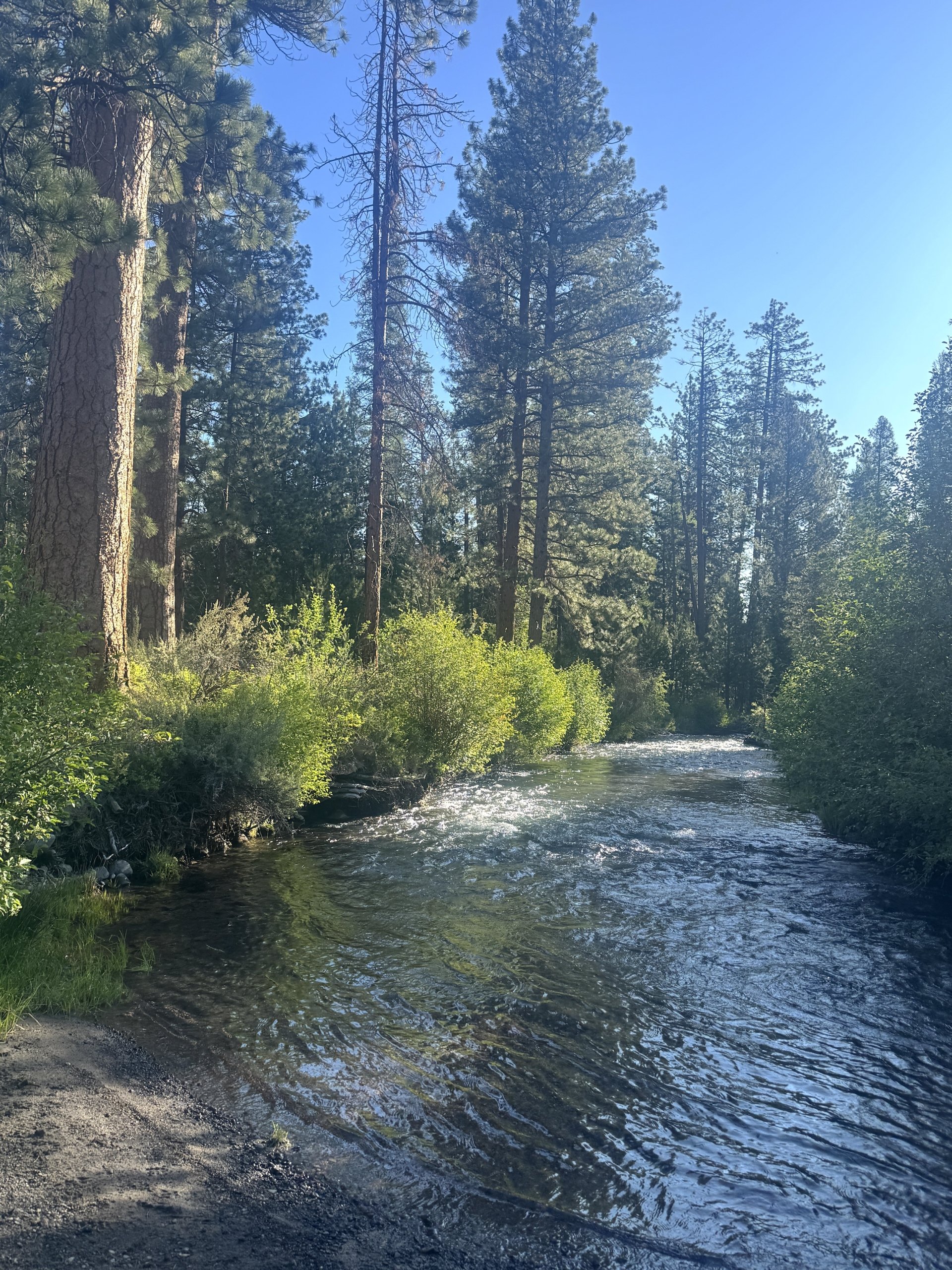 How to Know If You’re On the Optimal Path for You, Even if a Momentary Obstacle is Present