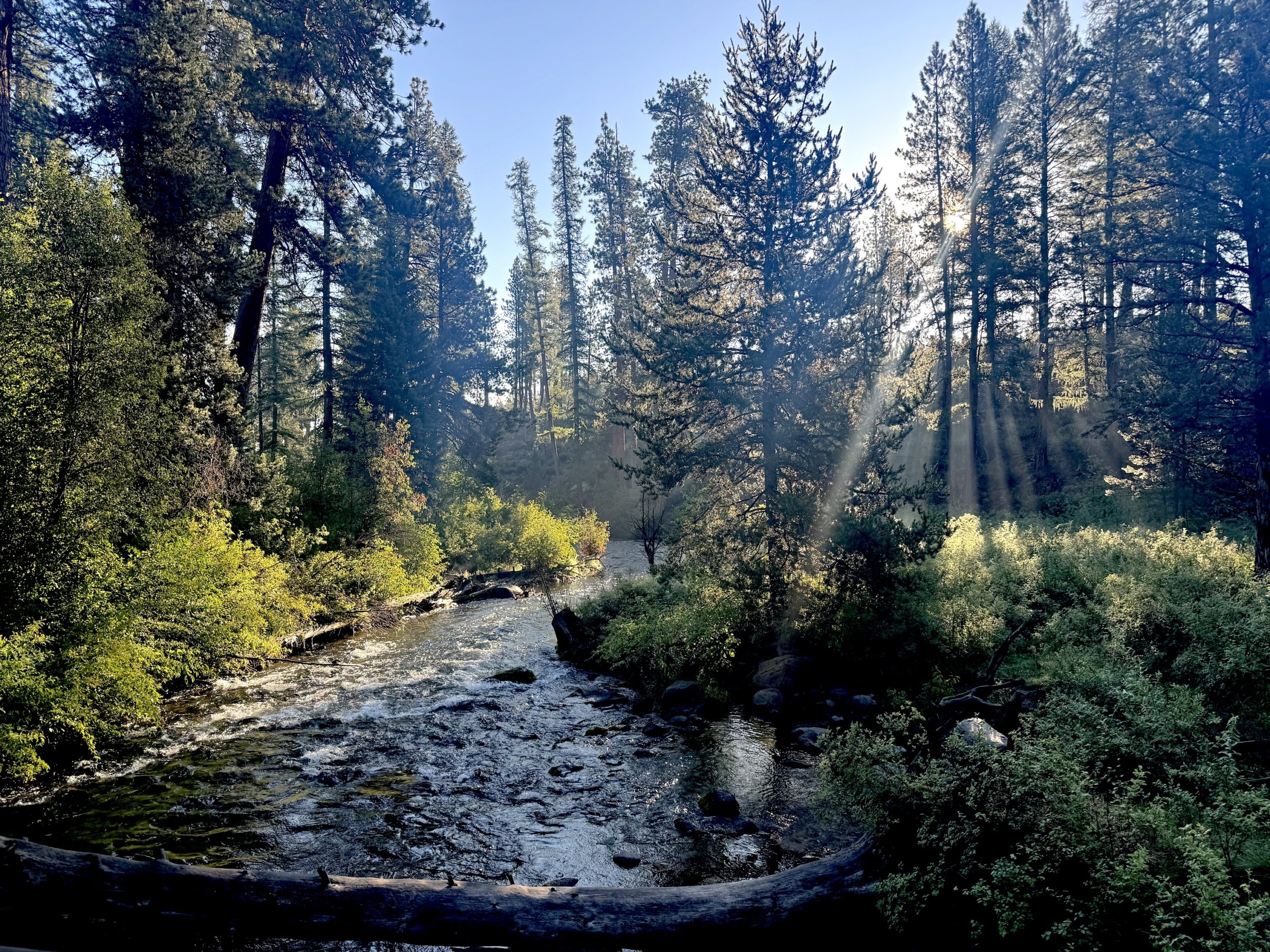 Noticing the Glimmers in Everyday Life and Why They Matter
